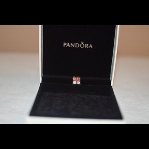 Gift Box Pandora Charm